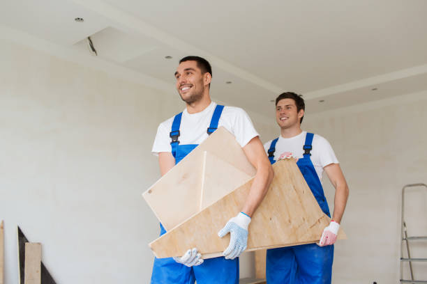 Best Recycling Services for Junk  in Springfield, MN