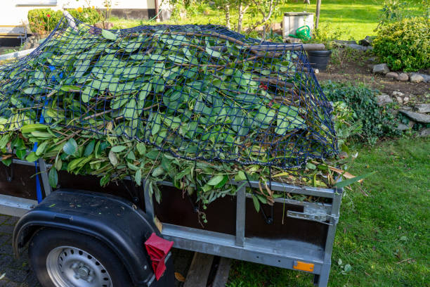 Best Construction Debris Removal  in Springfield, MN